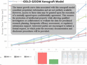 COLO-320DM Xenograft Model – Xenograft Model Database