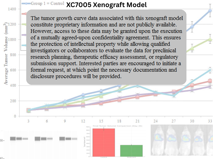 XC7005 Cervical Cancer PDX Model – Xenograft Model Database
